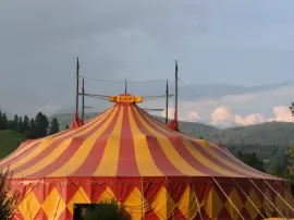 Conoce la sigla ACA y su labor vital en el circo de Andalucía