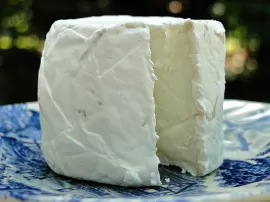 El queso de cabra: ¿tiene lactosa? Descubre ahora la verdad